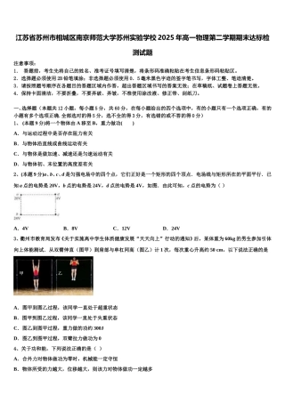 江苏省苏州市相城区南京师范大学苏州实验学校2025年高一物理第二学期期末达标检测试题含解析