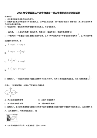 2025年宁夏银川二十四中物理高一第二学期期末达标测试试题含解析