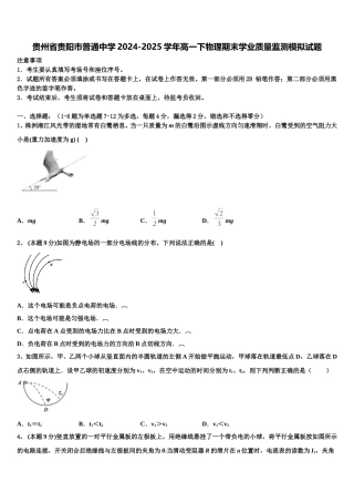 贵州省贵阳市普通中学2024-2025学年高一下物理期末学业质量监测模拟试题含解析