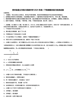 贵州省遵义市务川民族中学2025年高一下物理期末复习检测试题含解析