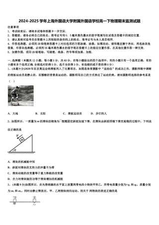2024-2025学年上海外国语大学附属外国语学校高一下物理期末监测试题含解析