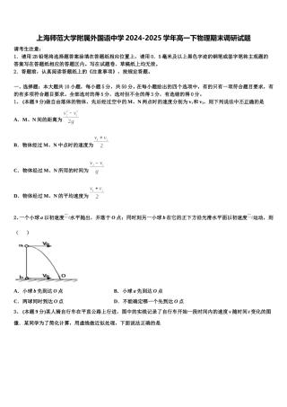 上海师范大学附属外国语中学2024-2025学年高一下物理期末调研试题含解析