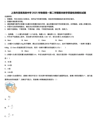 上海市澄衷高级中学2025年物理高一第二学期期末教学质量检测模拟试题含解析