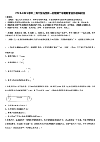 2024-2025学年上海市宝山区高一物理第二学期期末监测模拟试题含解析
