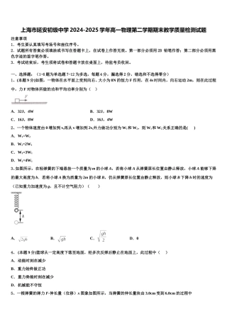 上海市延安初级中学2024-2025学年高一物理第二学期期末教学质量检测试题含解析