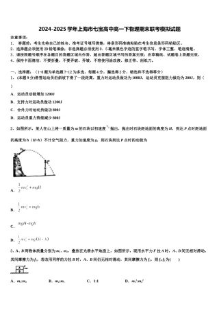 2024-2025学年上海市七宝高中高一下物理期末联考模拟试题含解析