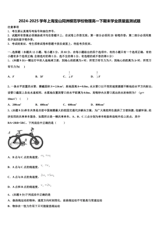 2024-2025学年上海宝山同洲模范学校物理高一下期末学业质量监测试题含解析