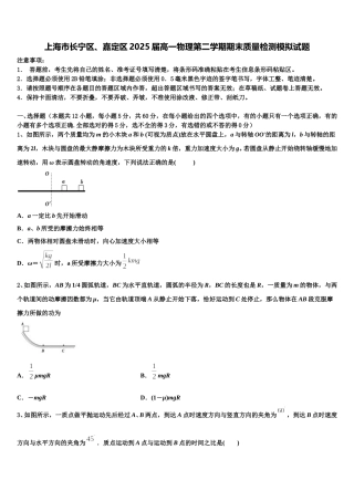 上海市长宁区、嘉定区2025届高一物理第二学期期末质量检测模拟试题含解析