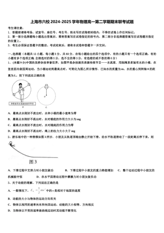 上海市六校2024-2025学年物理高一第二学期期末联考试题含解析