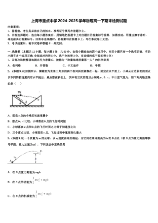 上海市重点中学2024-2025学年物理高一下期末检测试题含解析