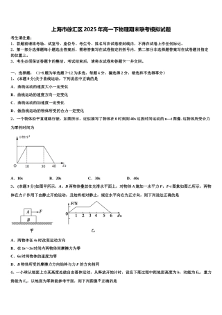 上海市徐汇区2025年高一下物理期末联考模拟试题含解析