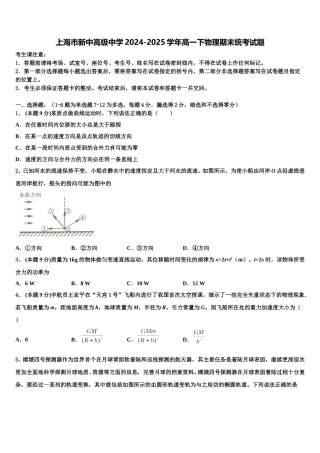 上海市新中高级中学2024-2025学年高一下物理期末统考试题含解析