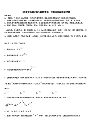 上海浦东新区2025年物理高一下期末经典模拟试题含解析