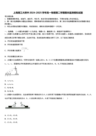 上海理工大附中2024-2025学年高一物理第二学期期末监测模拟试题含解析
