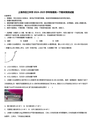 上海市控江中学2024-2025学年物理高一下期末预测试题含解析