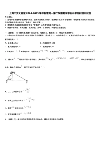 上海市交大嘉定2024-2025学年物理高一第二学期期末学业水平测试模拟试题含解析