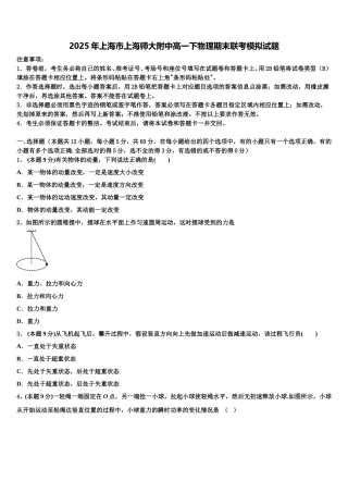 2025年上海市上海师大附中高一下物理期末联考模拟试题含解析