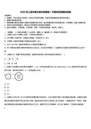 2025年上海市晋元高中物理高一下期末检测模拟试题含解析