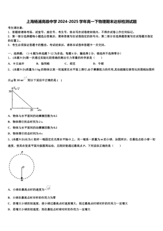 上海杨浦高级中学2024-2025学年高一下物理期末达标检测试题含解析