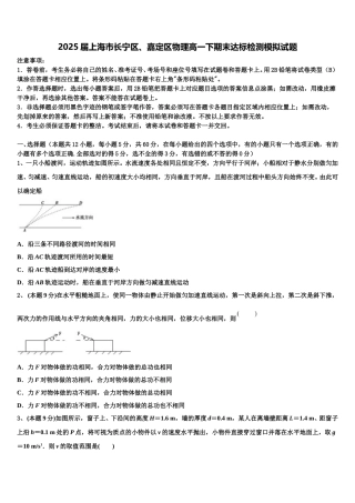 2025届上海市长宁区、嘉定区物理高一下期末达标检测模拟试题含解析