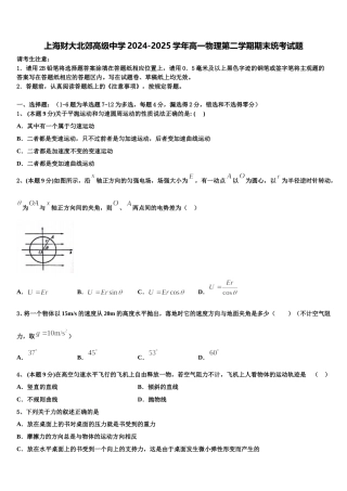 上海财大北郊高级中学2024-2025学年高一物理第二学期期末统考试题含解析