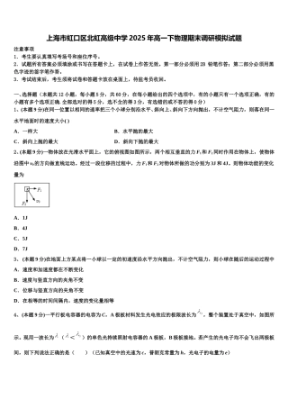 上海市虹口区北虹高级中学2025年高一下物理期末调研模拟试题含解析