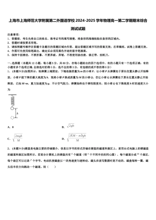 上海市上海师范大学附属第二外国语学校2024-2025学年物理高一第二学期期末综合测试试题含解析