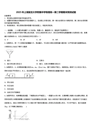 2025年上海复旦大学附属中学物理高一第二学期期末预测试题含解析