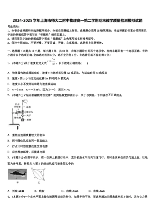 2024-2025学年上海市师大二附中物理高一第二学期期末教学质量检测模拟试题含解析