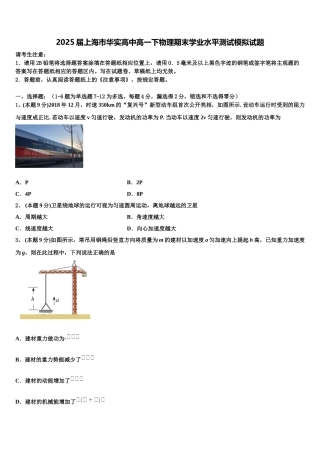 2025届上海市华实高中高一下物理期末学业水平测试模拟试题含解析