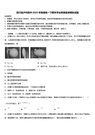 四川省泸州高中2025年物理高一下期末学业质量监测模拟试题含解析