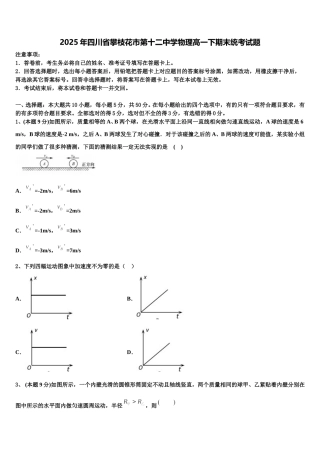 2025年四川省攀枝花市第十二中学物理高一下期末统考试题含解析