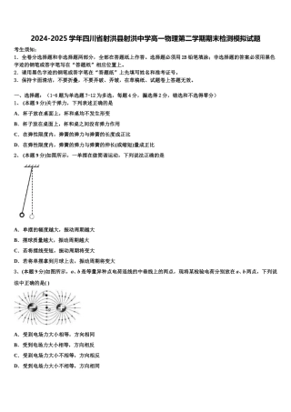 2024-2025学年四川省射洪县射洪中学高一物理第二学期期末检测模拟试题含解析