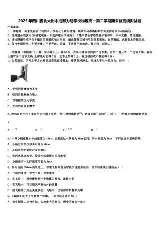 2025年四川省北大附中成都为明学校物理高一第二学期期末监测模拟试题含解析