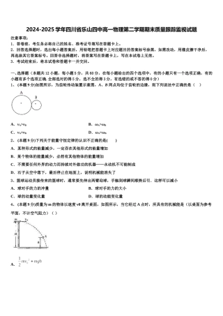 2024-2025学年四川省乐山四中高一物理第二学期期末质量跟踪监视试题含解析