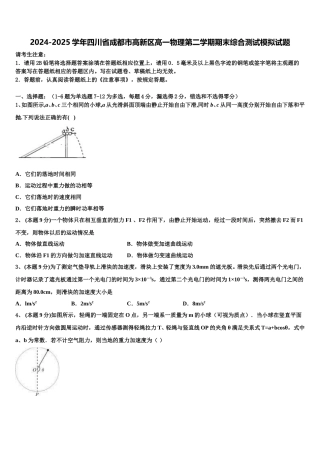 2024-2025学年四川省成都市高新区高一物理第二学期期末综合测试模拟试题含解析
