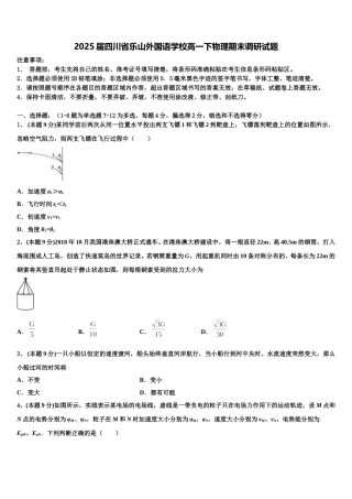 2025届四川省乐山外国语学校高一下物理期末调研试题含解析