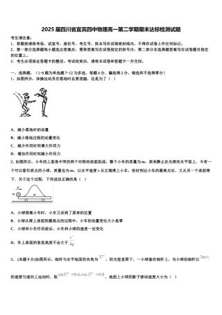 2025届四川省宜宾四中物理高一第二学期期末达标检测试题含解析