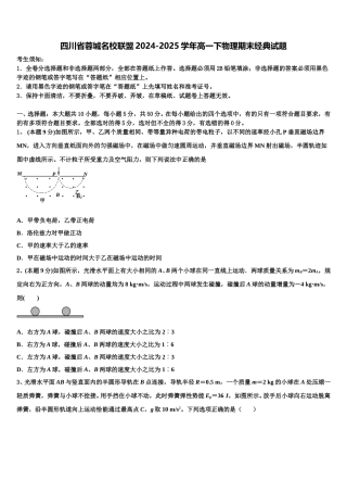 四川省蓉城名校联盟2024-2025学年高一下物理期末经典试题含解析