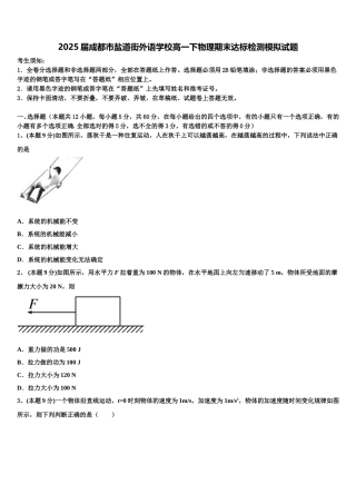 2025届成都市盐道街外语学校高一下物理期末达标检测模拟试题含解析