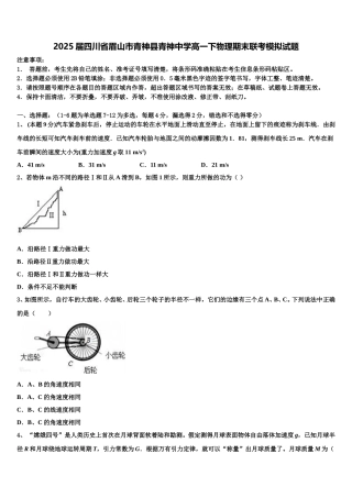 2025届四川省眉山市青神县青神中学高一下物理期末联考模拟试题含解析