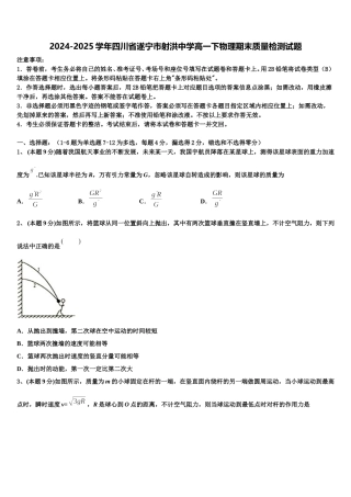 2024-2025学年四川省遂宁市射洪中学高一下物理期末质量检测试题含解析