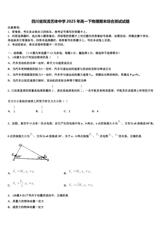 四川省双流艺体中学2025年高一下物理期末综合测试试题含解析