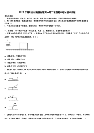 2025年四川省射洪县物理高一第二学期期末考试模拟试题含解析