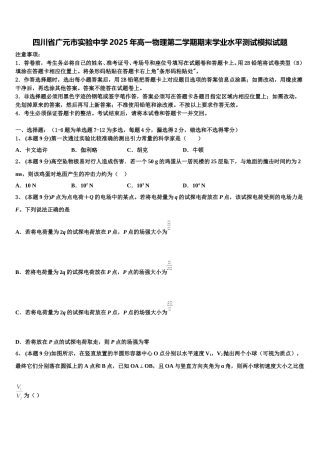四川省广元市实验中学2025年高一物理第二学期期末学业水平测试模拟试题含解析