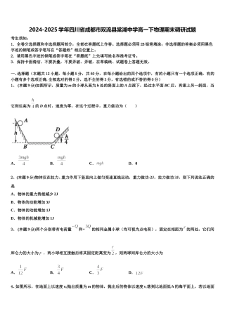 2024-2025学年四川省成都市双流县棠湖中学高一下物理期末调研试题含解析