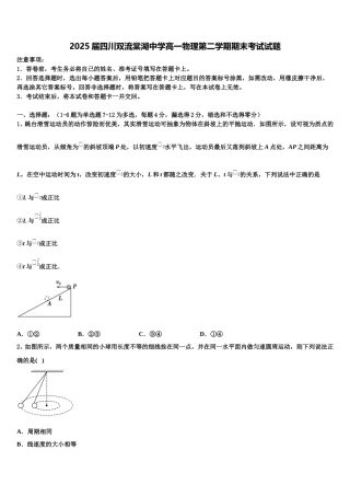2025届四川双流棠湖中学高一物理第二学期期末考试试题含解析