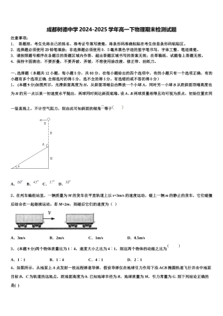 成都树德中学2024-2025学年高一下物理期末检测试题含解析