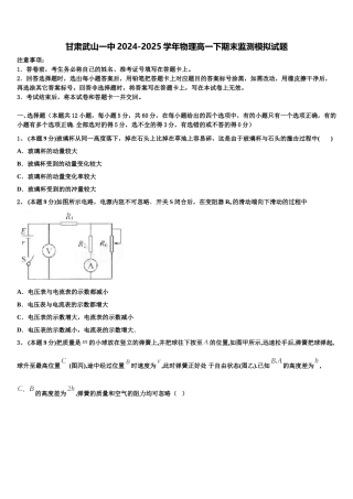 甘肃武山一中2024-2025学年物理高一下期末监测模拟试题含解析