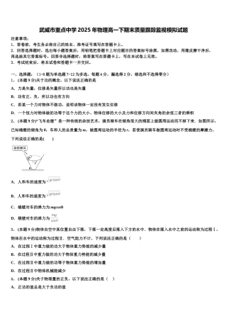 武威市重点中学2025年物理高一下期末质量跟踪监视模拟试题含解析